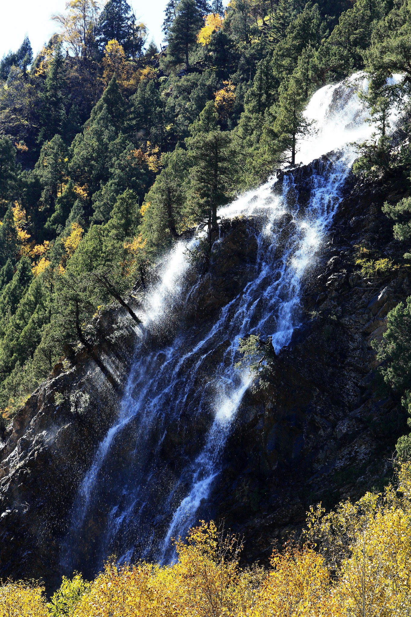 互助北山国家森林公园(北山林场)