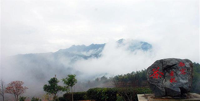 大埔景点-西岩茶乡度假村