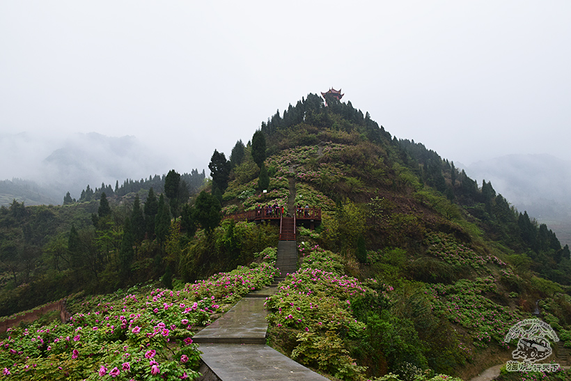 垫江景点