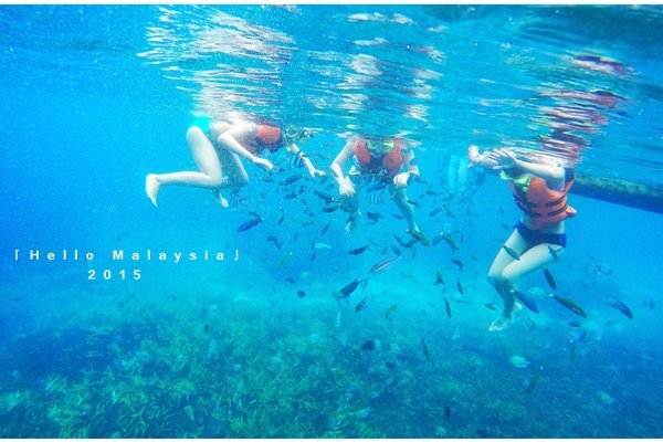 接下来的几天就是潜水潜水潜水咯~~~ 【浮潜】&【体验深潜】 【浮潜】先说说浮潜吧,通常订岛上度假村套餐(3天2晚的套餐)时都会包含有登嘉楼的接送船票,一次浮潜,一日三餐。我说的通常情况下,并不是指每一家都有这样的套餐哈~大家预定的时候多留意各度假村的官网吧,碰到做活动,真心不错!10月中旬参加了一次亚航+马来西亚旅游局+莎莉太平洋度假村的分享会。度假村工作人员分享:在热浪岛住5晚,吃住全包,含船票,和2次浮潜,费用是3000RMB。。。3000住5天五星度假村我只能说,如果有假就带着爸妈或者带着