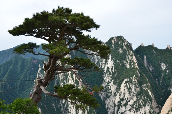五岳之一的华山,应该不用我多介绍了吧,亲请百度。 行程如下: 周五晚上火车从上海出发,卧铺,第二天早上到达华山火车站。 火车站外公交车可轻松达到旅游中心。买好票,乘坐景区内公交直达玉泉院。 登山路线,选择了传统线,自古华山一条路。 从玉泉院出发, 过鱼石、灵官庙、五里关、青柯坪,经回心石,千尺幢,百丈崖和老君犁沟到北峰,从北峰南上,经擦耳崖、苍龙岭、到金锁关,达到西峰。看日出后,本想转中峰,到东峰,得知东峰旅馆客满,直接住在中峰了。 第二天,中峰出发,东峰日观峰,鹞子翻身,经南峰,长空栈道,再到西峰,时
