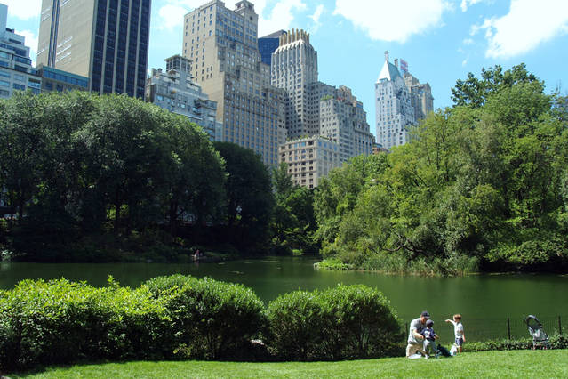 spacious central park apartment