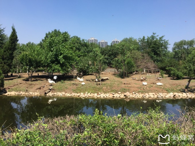 --> 辽科就是辽宁科技馆,应该大家很熟悉啦。首先普及一下基本信息: 开馆时间 周三至周日9:3016:00开馆(15:30停止售票) 周一、周二闭馆(如遇国家法定节假日另行公告) 为保证参观安全,提高参观质量,省科技馆采取限流管理模式,常设展厅开馆日每日预约限流5000人,约完即止;儿童科学乐园最多可同时容纳400人,如遇展厅饱和,请您排队等候或选择错峰参观,谢谢配合。 特别提示:常设展厅一律实行网上预约,不再接受现场无预约参观,包括儿童在内每人一票,预约时请务必记得选择携带儿童数量。 刚开始的时候人