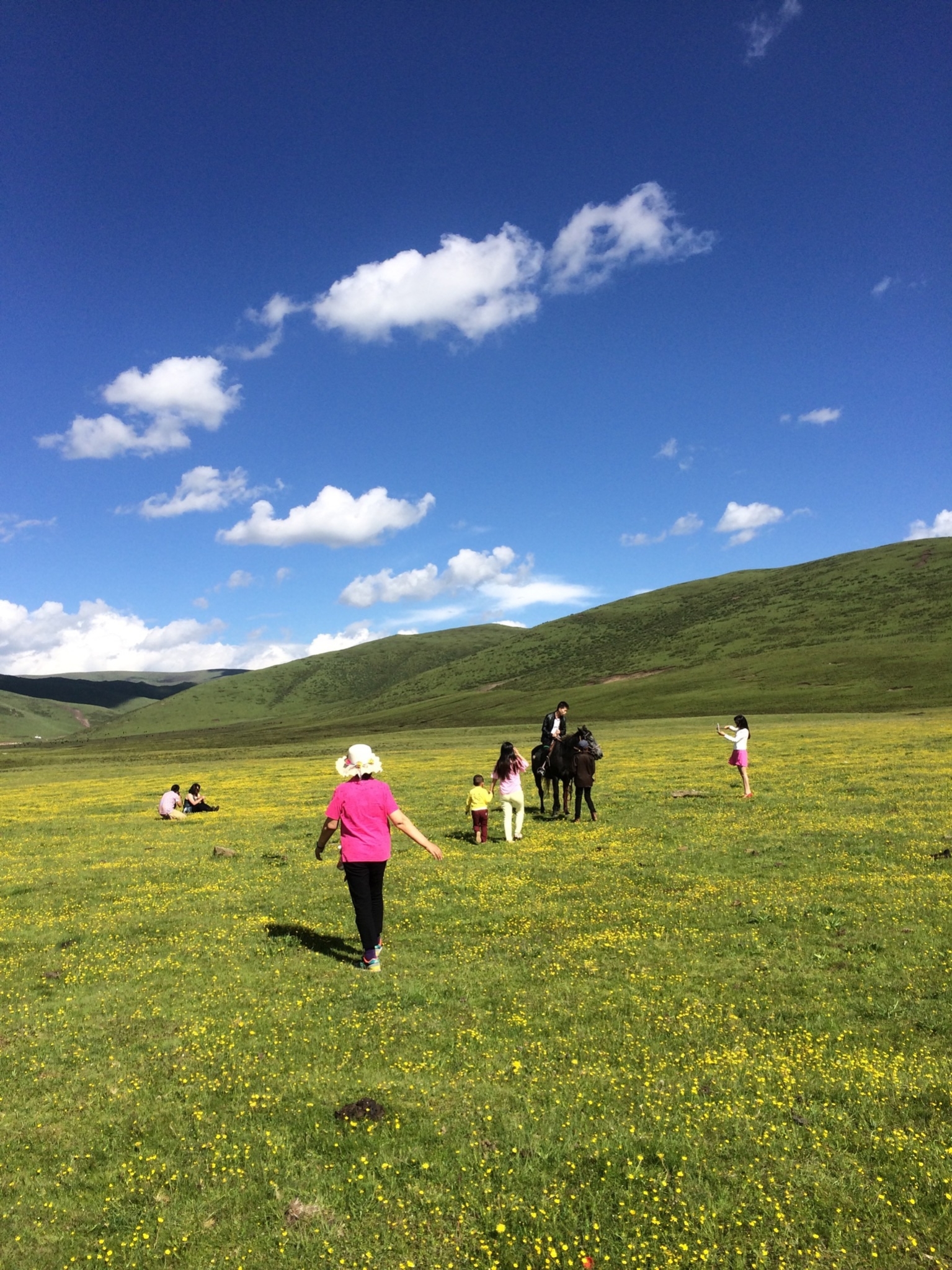 2016年夏天夫妻自驾草原之旅,若尔盖旅游攻略 - 蚂蜂窝