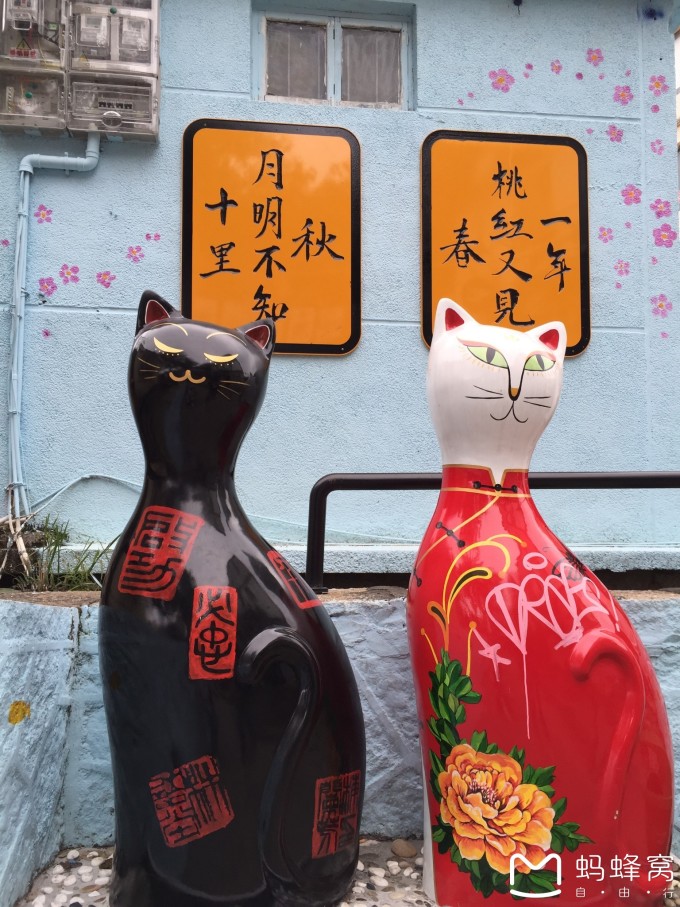 路的小吃街以思明南路为界划为南北两段,北段小吃较少,南段较为集中。宫廷月亮虾饼、三师肠粉、大肠包小肠、八婆婆烧仙草都很推荐,海蛎煎做的一般,真不如家里做的煎蛎黄。 小吃街附近有几个商场可以逛逛,中华城、老虎城,中华城地下还有家乐福超市。 小吃结束时间尚早,决定去厦大溜达一圈。到厦大正好五点半,天也刚好开始暗下去。西门进去便是两排高大挺拔的椰子树,校园的美果然名不虚传,闲逛了校园,去了芙蓉餐厅,四层对外,看了一圈没啥可吃的,都是些海鲜大排档之类的,看着还挺脏。芙蓉餐厅附近就会看到芙蓉隧道,这是一条长一千米的