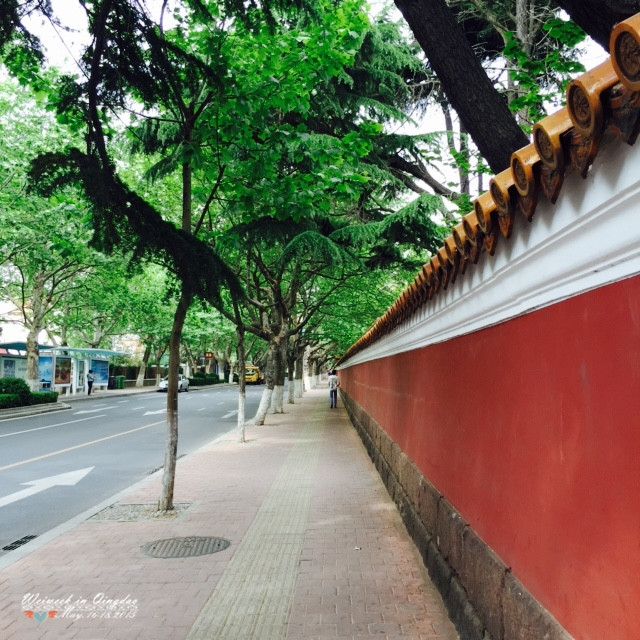 青岛大学路         