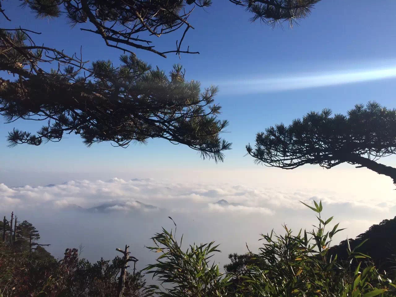 一个人仰望天空的画