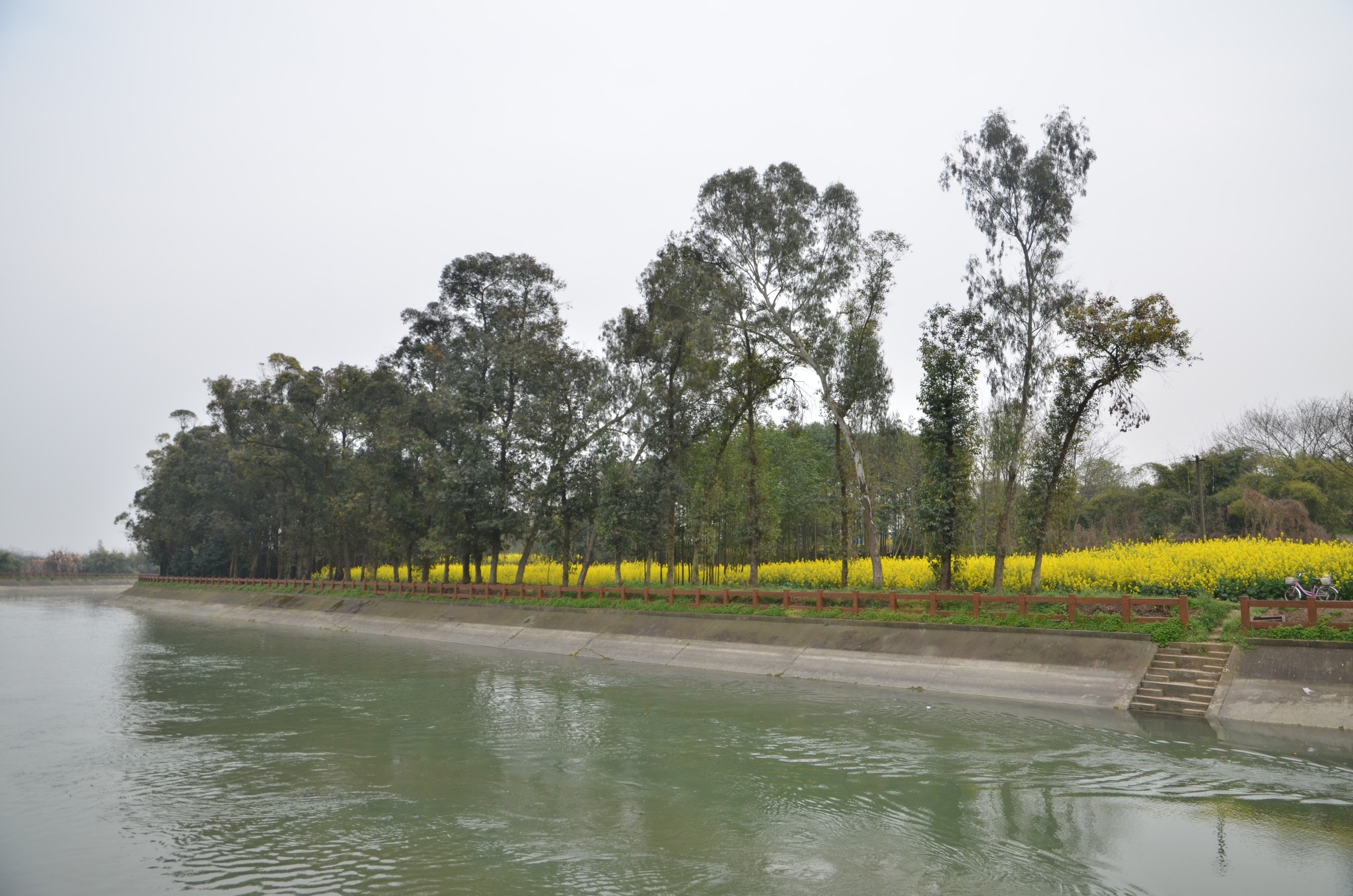 十陵青龙湖湿地公园