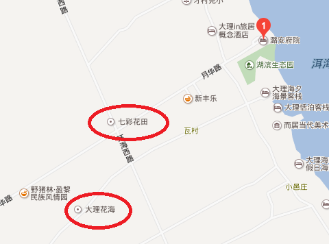 大理的花海具体位置在哪里
